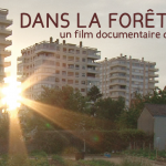 Photo du film Dans la forêt grise, immeubles et coucher de soleil